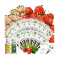 LYKOCLEAN Herb Seed Pod Kit Compatible with AeroGarden Hydroponics Growing System, Complete Indoor Gardening Supply