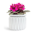 6 Inch African Violet Pots Self Watering, Ceramic Planter with Water Reservoir and Fill Lines, 4 Inch Opening, Indoor