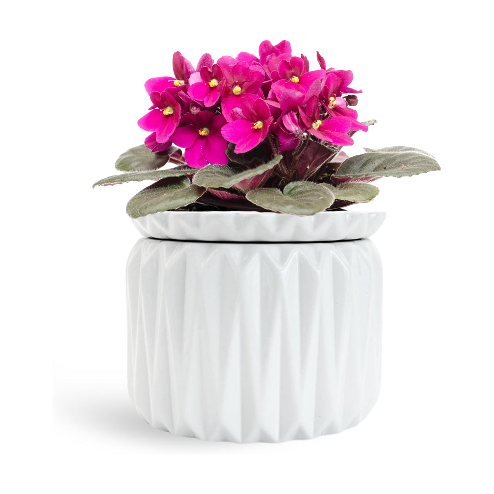 6 Inch African Violet Pots Self Watering, Ceramic Planter with Water Reservoir and Fill Lines, 4 Inch Opening, Indoor