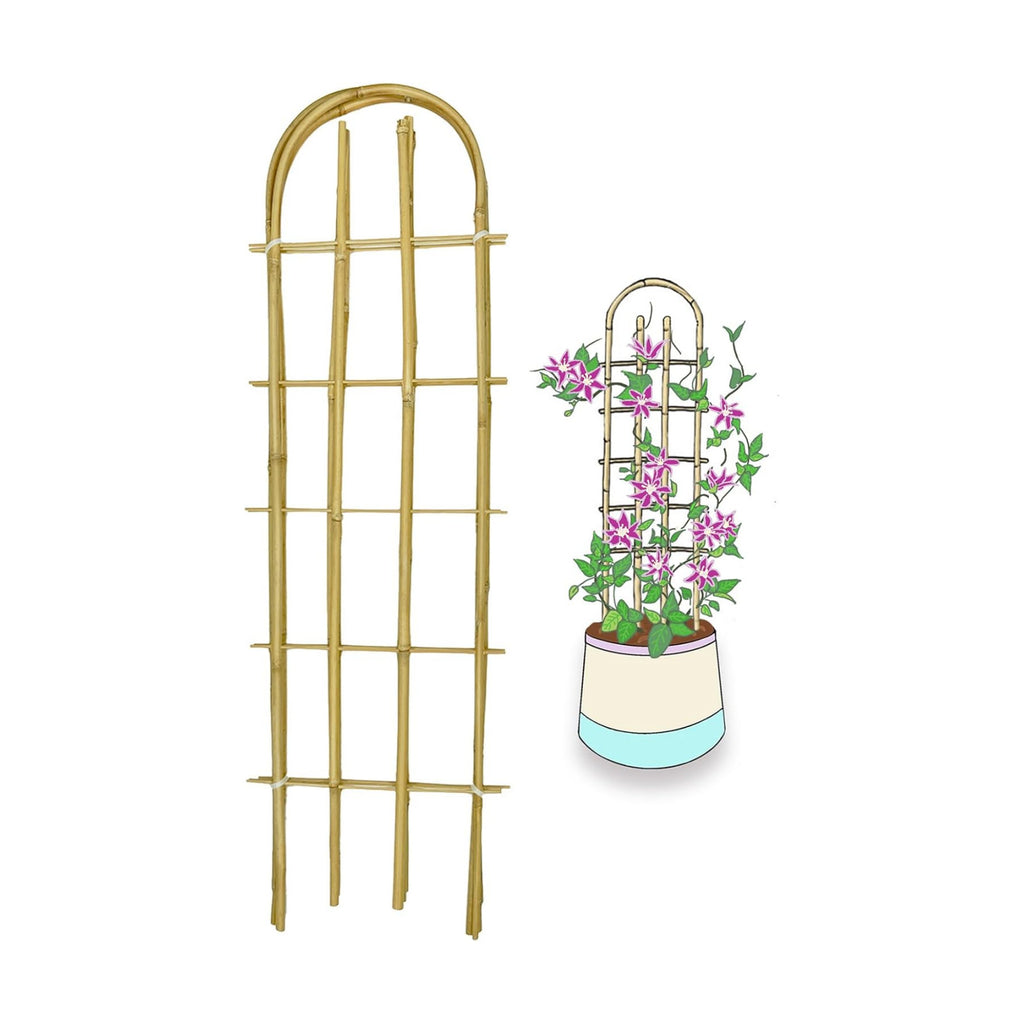 Bamboo Trellis,U-Shape Bamboo Trellis,3Feet,3pack,Trellis for Climbing Plants Outdoor Bamboo,for,Climbing