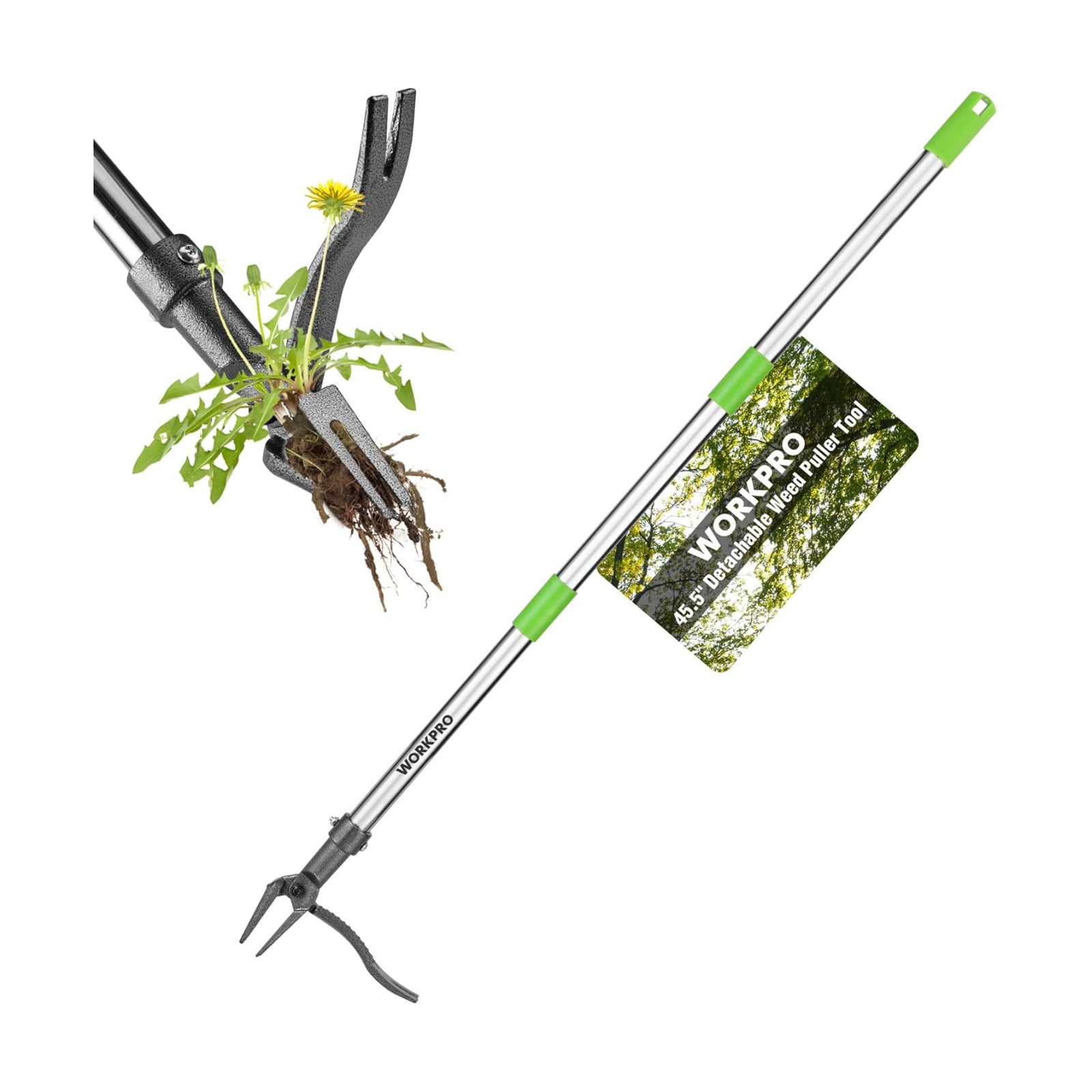 WORKPRO Weed Puller Tool with Long Adjustable Handle (33", 46") | Stand Up Weed Remover- 4 Claw Steel Head & Foot Pedal