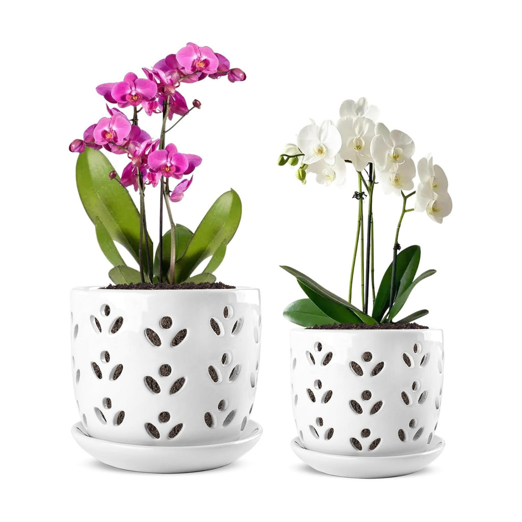 REMIAWY Orchid Pot, 2 Pack Orchid Pots with Drainage Holes and Saucer, 6 Inch and 5 Inch Large Ceramic Planter for