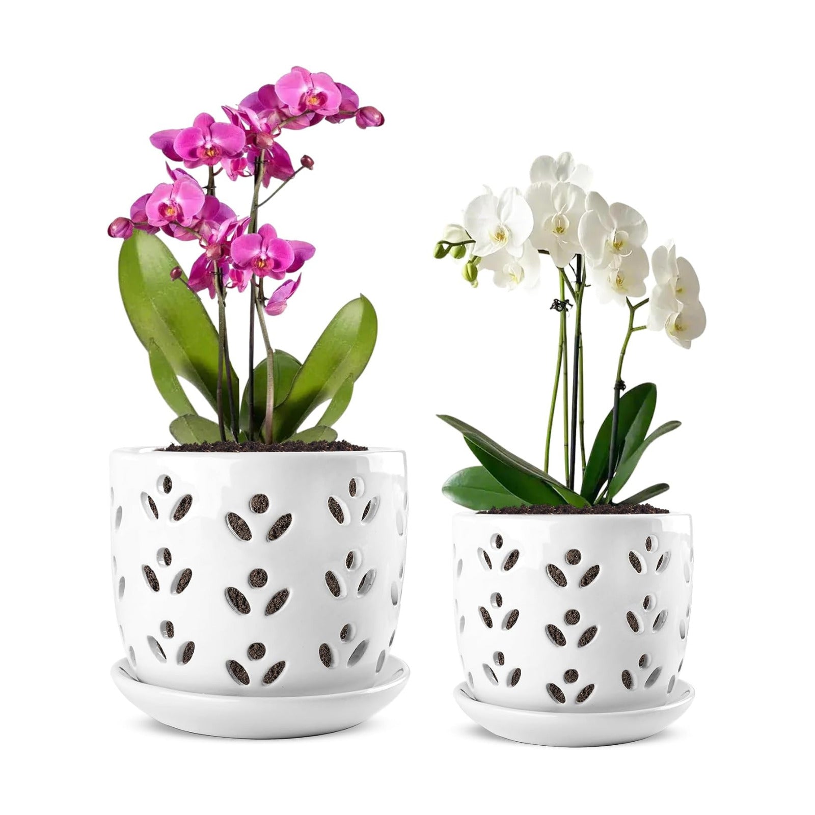 REMIAWY Orchid Pot, 2 Pack Orchid Pots with Drainage Holes and Saucer, 6 Inch and 5 Inch Large Ceramic Planter for
