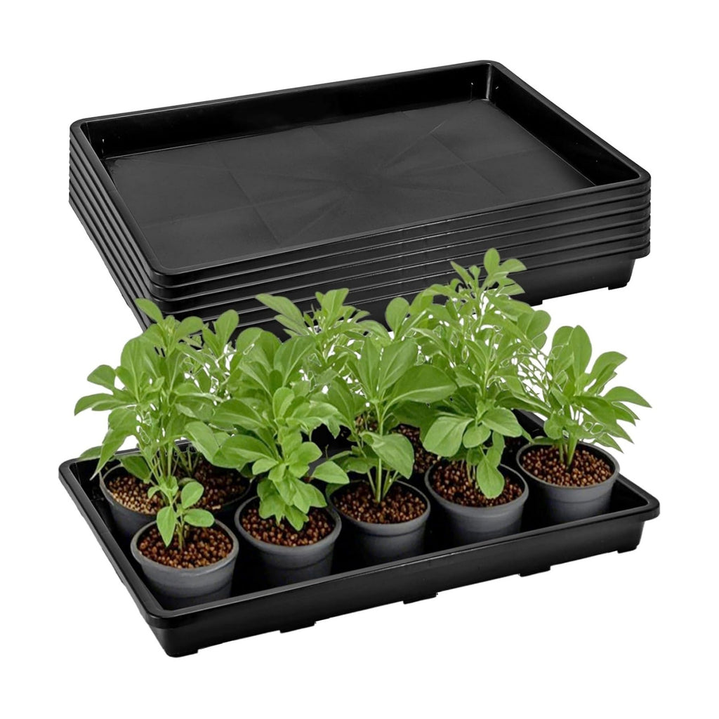 ZAVOOS 6 Pack Nursery Potting Trays with No Drain Holes | Plastic Plant Saucer Growing Tray, 17.3'' x 11.6'' x 1.3''