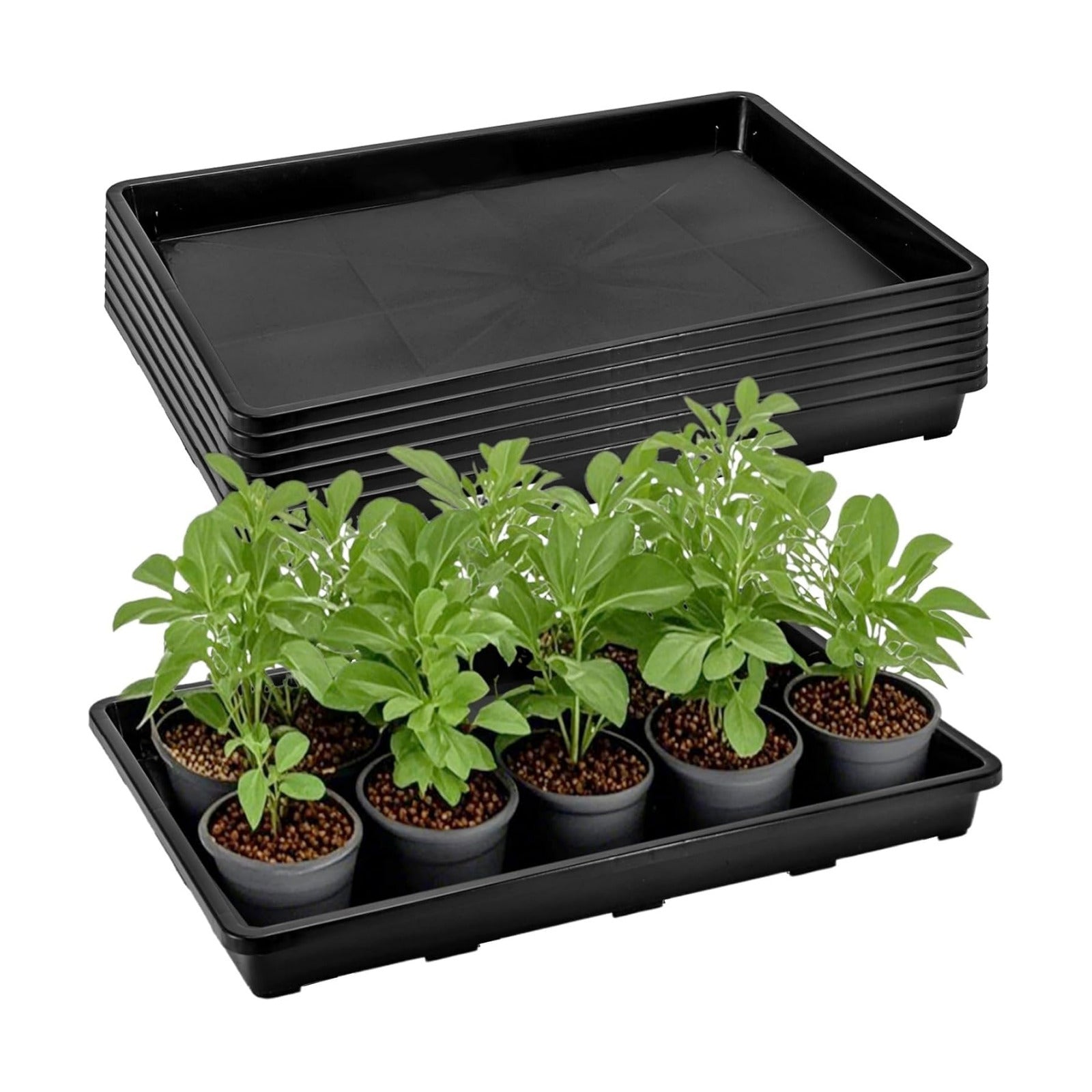 ZAVOOS 6 Pack Nursery Potting Trays with No Drain Holes | Plastic Plant Saucer Growing Tray, 17.3'' x 11.6'' x 1.3''