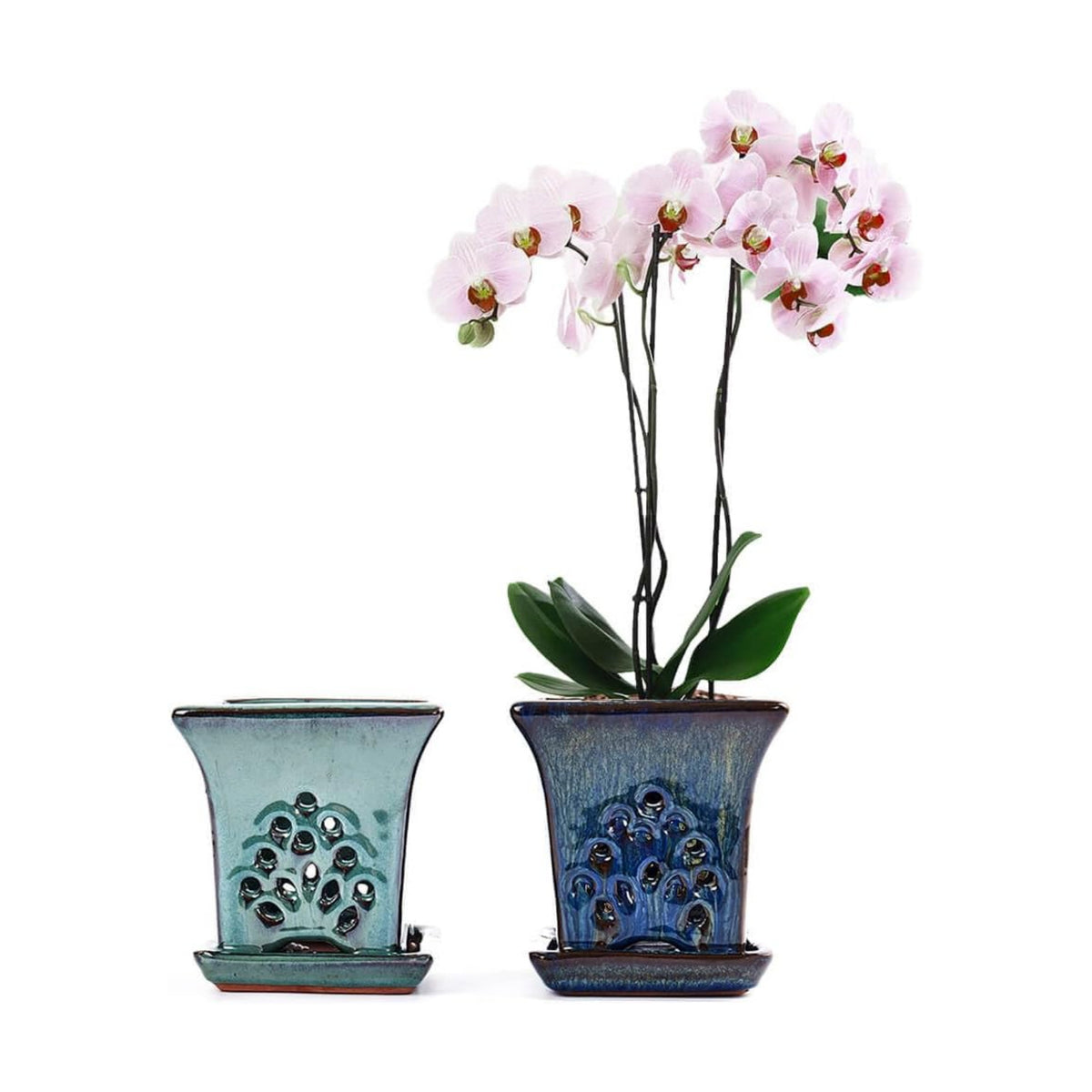 Ceramic Orchid Pots with Holes attached Saucers 4.8 Inches - Set of 2 Small Square Orchid Pots for Repotting, Decorative Ceramic Orchid Planter with Hole for Healthy Root Growth Blue and Green
