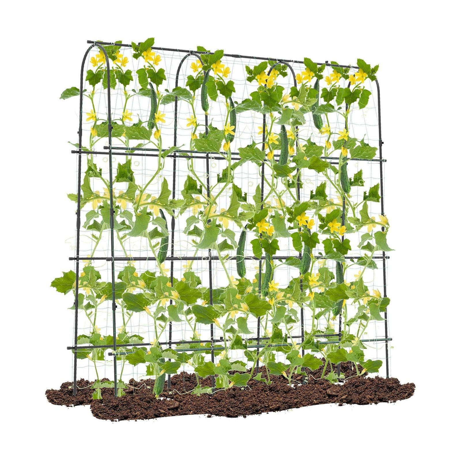 71" x 71" Cucumber Trellis for Raised Bed, Garden Arch Trellis Metal Plant Support Frame with Netting, Sure-Clips &