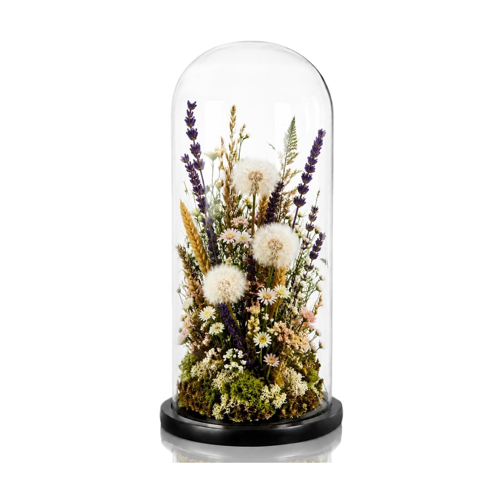 ZOOFOX 13.8 Inch Tall Glass Dome with Base, Clear Glass Empty Display Cloche, Decorative Bell Jar for Succulents