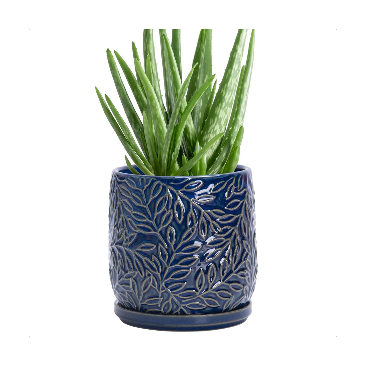 D'vine Dev Embossed Leaves Ceramic Planter, 5 in, Midnight Blue, 27-A-V-3