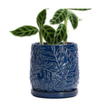 D'vine Dev Embossed Leaves Ceramic Planter, 6 in, Midnight Blue, 27-A-X-3 | Nature-Inspired Leaf Pattern, Handcrafted