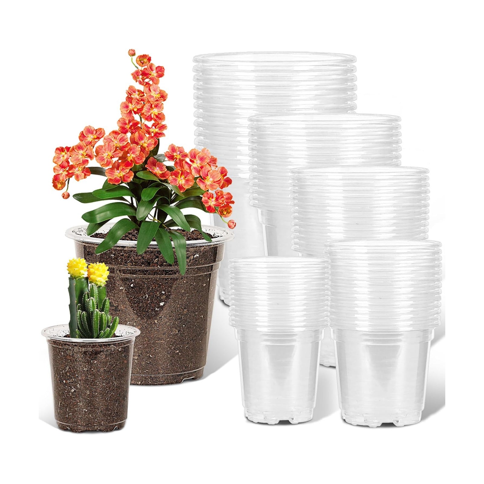 JNYONG 60 Pack 3.5/4/5/6/7 Inch Clear Nursery Pots with Drainage Hole | Variety Sizes Seed Starting Pots Transparent