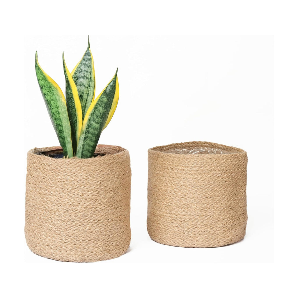 Small Jute Plant Basket, Set of 2, 6.5 Inches, Brown
