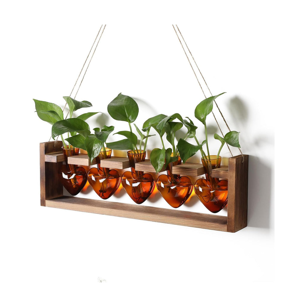 Plant Terrarium Hanging Propagation Stations Gift for Women