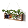 Plant Terrarium Hanging Propagation Stations Gift for Women | Air Plants Holder with Wooden Stand Heart Glass