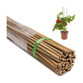 Bamboo Stakes, 5 Feet (58 inch), 70 Pcs | Natural Bamboo Garden Stakes, For Tomatoes, Beans, Vegetable, Flowers