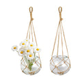 SAILINGSTORY Hanging Glass Plant Terrarium 5" Clear Set of 2 Pack | Glass Planter, Propagation Stations, Flower Vase