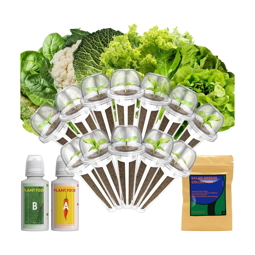 Lyko Heirloom Salad Greens Seed Pod Kit for AeroGarden, iDoo, Ahopegarden, GARDENCUBE, 12 Pods with American Fast/Paris