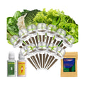 Lyko Heirloom Salad Greens Seed Pod Kit for AeroGarden, iDoo, Ahopegarden, GARDENCUBE, 12 Pods with American Fast/Paris