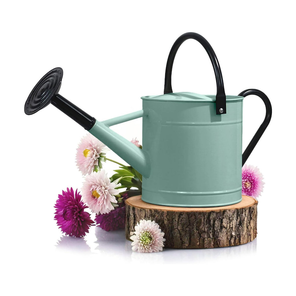Plexon Metal Watering Can Outdoor 1 Gallon, Flower Plant Gardening Garden Large Watering Can Pot, Black Galvanized