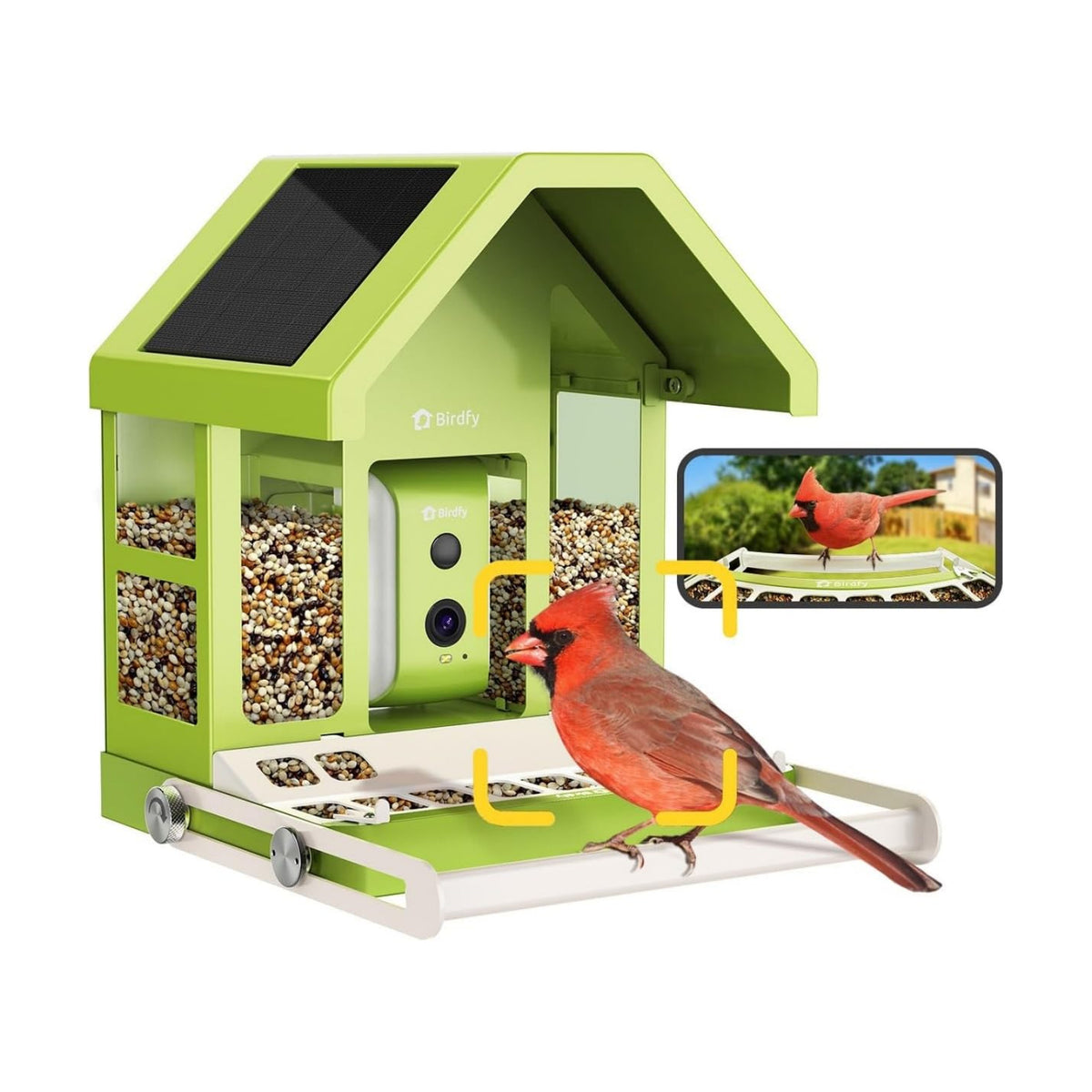Birdfy Smart Bird Feeder with Camera Solar Powered, Premium Metal Design