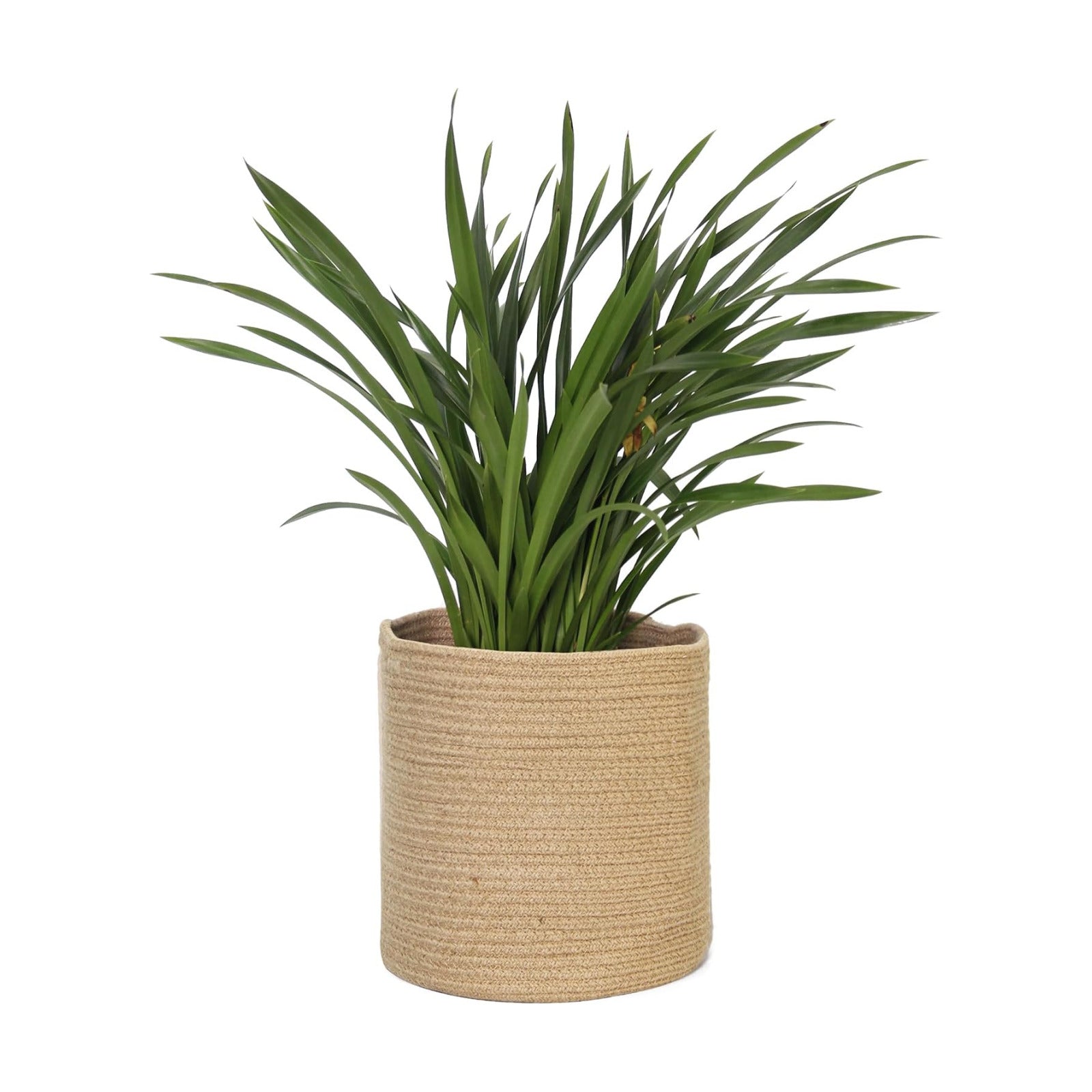 Woven Jute Plant Basket, Wicker Basket Planter for 11 inch Pot, Round Indoor Tree Pot Cover, Small Boho Storage Bin