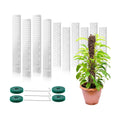 10 Pieces Plastic Moss Pole for Monstera Including 4 Pcs 24 Inch Clear Plant Poles for Indoor Climbing and 6 Pcs 15