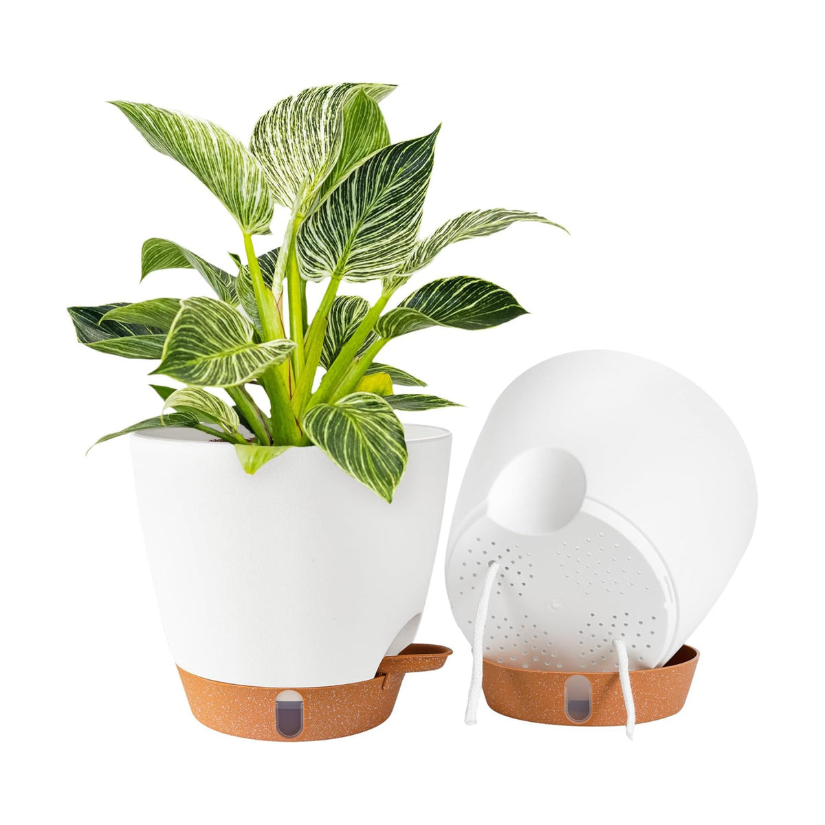 2 Pack 8 Inch Pots for Plants Indoor, Plastic Self Watering Planters
