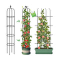 Tower Obelisk Garden Trellis for Climbing Plant，6.2FT/74.4" Rustproof Metal Potted Plant Climbing Support for Indoor