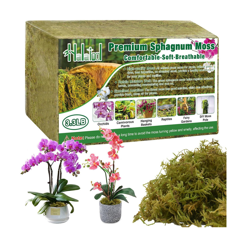 Halatool 3.3 LB Natural Green Forest Moss, Long Fiber Dried Sphagnum Moss | No Dyes, Water Retention & Areation, Dried
