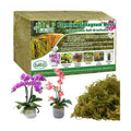 Halatool 3.3 LB Natural Green Forest Moss, Long Fiber Dried Sphagnum Moss | No Dyes, Water Retention & Areation, Dried