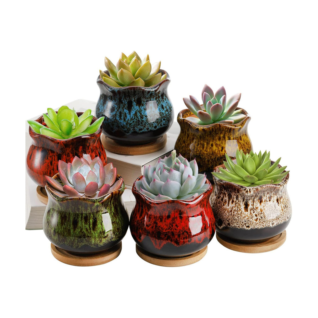 TOPZEA Set of 6 Succulent Plant Pots, 4 Inch Glazed Ceramic Cute Plant Pots with Drainage and Saucer, Mini Bonsai