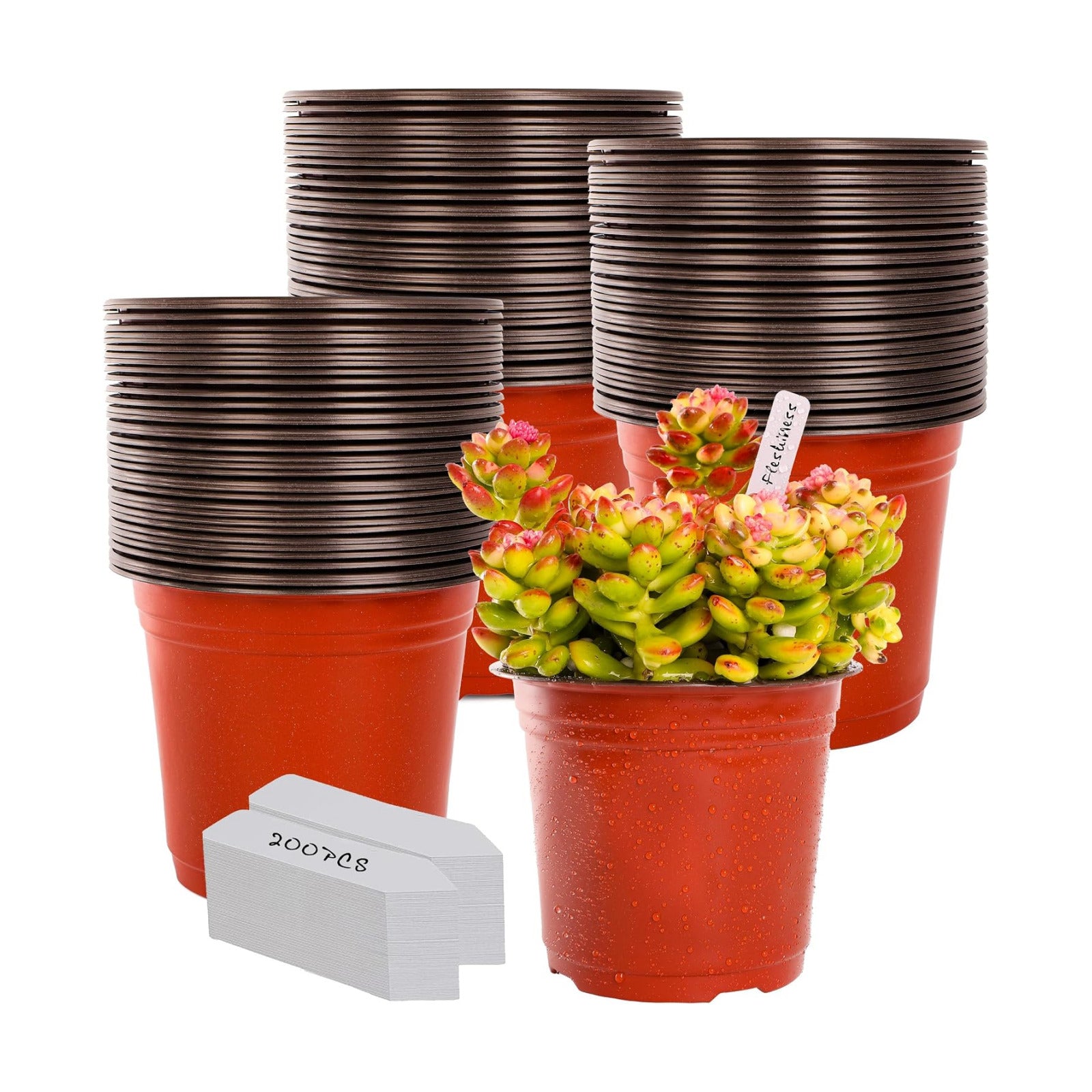 TDHDIKE 6" Plastic Plant Nursery Pots 200Pcs with 200 Labels | Red Seedling Flower Containers, Indoor/Outdoor Seed