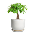 Ceramic Pot for Plants 7 Inch - Modern Round Indoor Outdoor Planter with Drainage Hole and Saucer, Home House Office