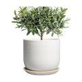Ceramic Plant Pot - Modern 8 Inch Round Planter for Indoor Outdoor Plants with Drainage Hole and Saucer, Home House