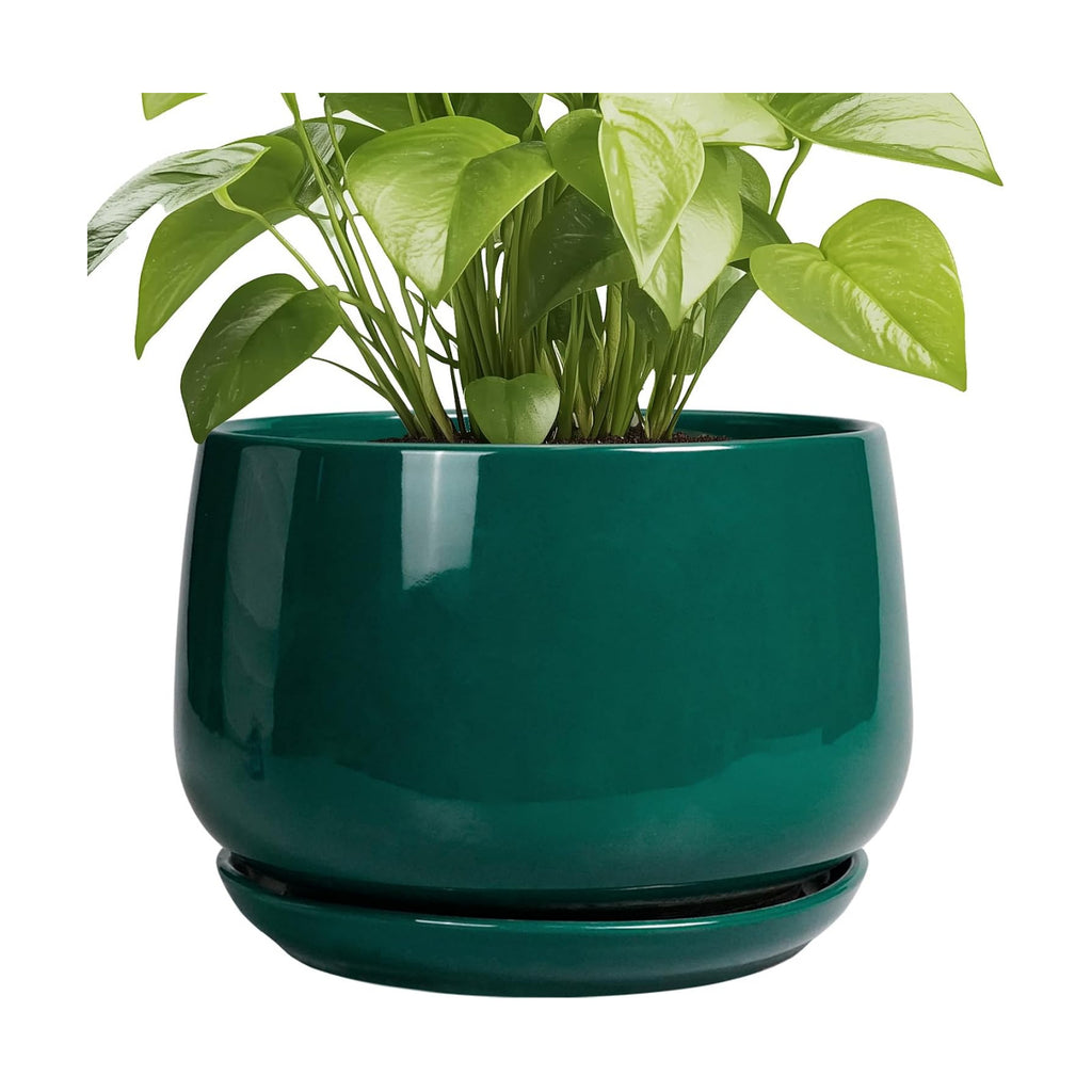G EPGardening Ceramic Pots for Plants - 9 Inch Ceramic Planter for Indoor Plants, Round Planter with Drainage and