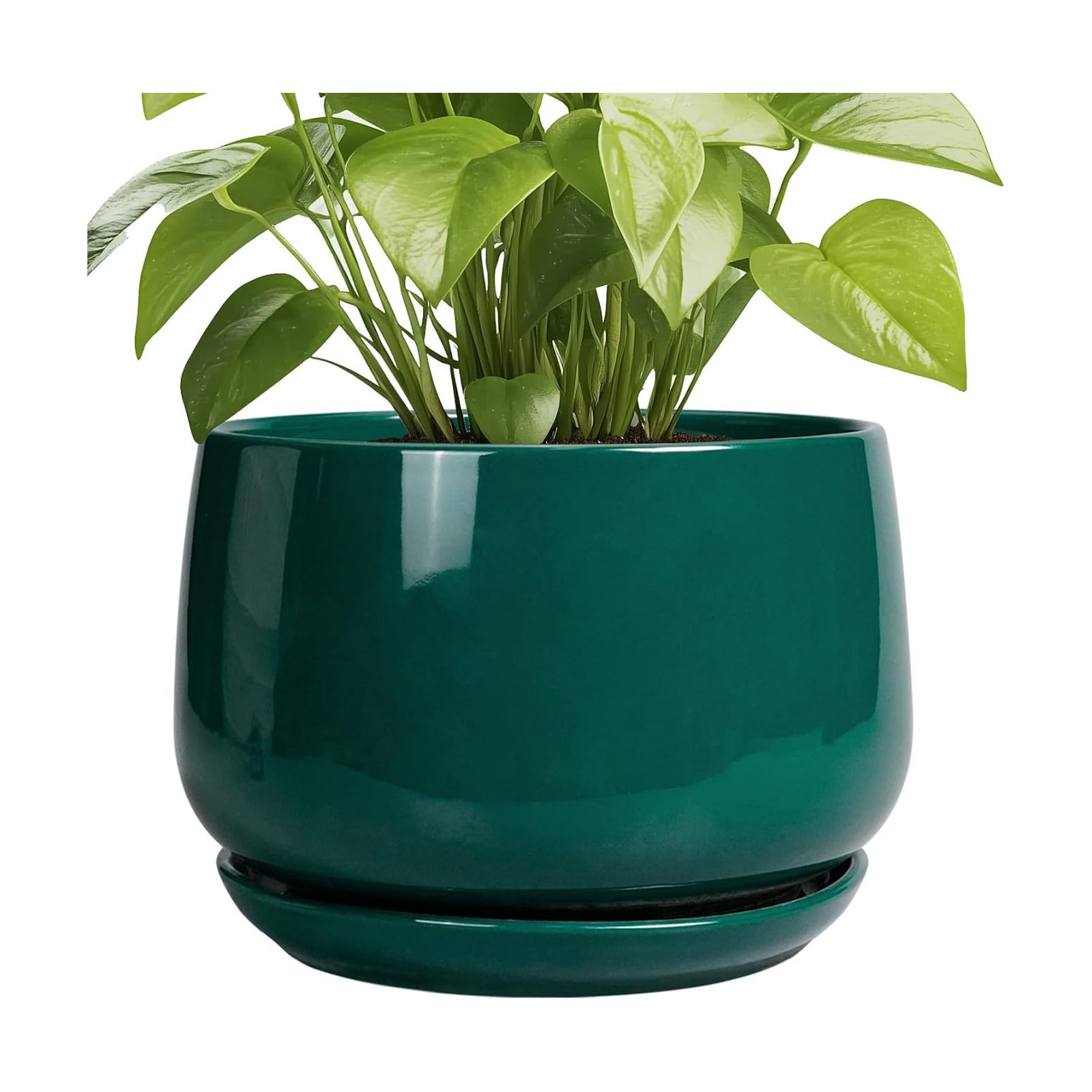 G EPGardening Ceramic Pots for Plants - 9 Inch Ceramic Planter for Indoor Plants, Round Planter with Drainage and