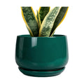 G EPGardening Ceramic Planter for Indoor Plants - 7 Inch Plant Pot, Round Planter with Drainage and Saucer, Round