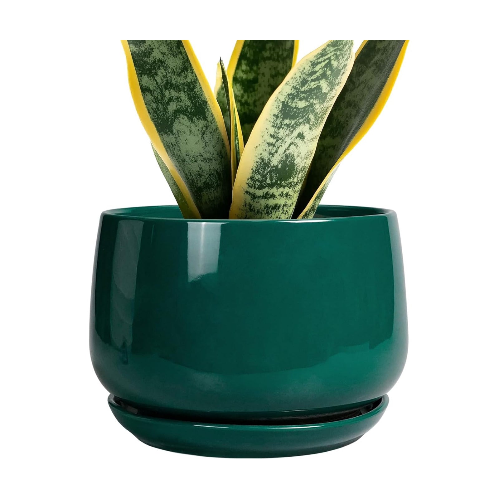 G EPGardening Ceramic Planter for Indoor Plants - 7 Inch Plant Pot, Round Planter with Drainage and Saucer, Round