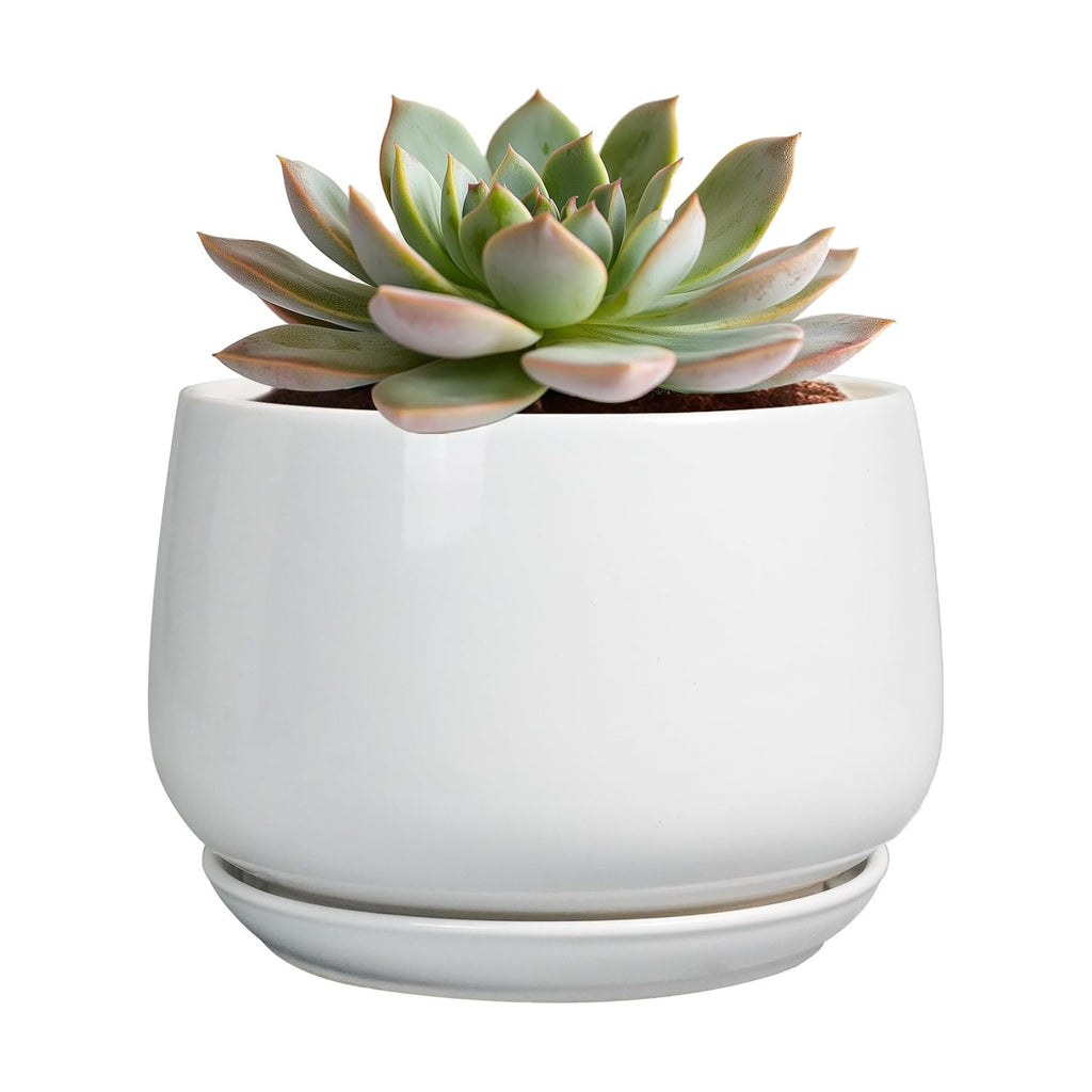 G EPGardening Ceramic Pots for Plants - 6 Inch Planter for Indoor Plants, Flower Pots with Drainage and Ceramic Tray