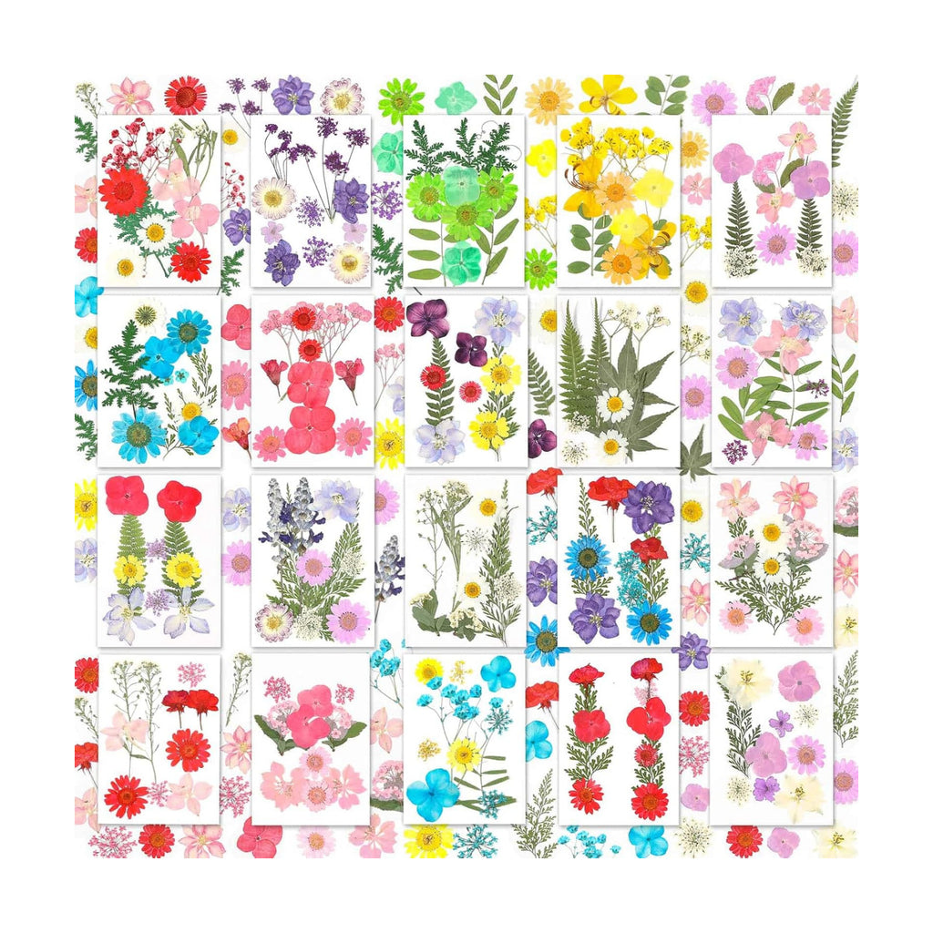 Evatage 200 Pcs Small Dried Pressed Flowers for Resin Crafts