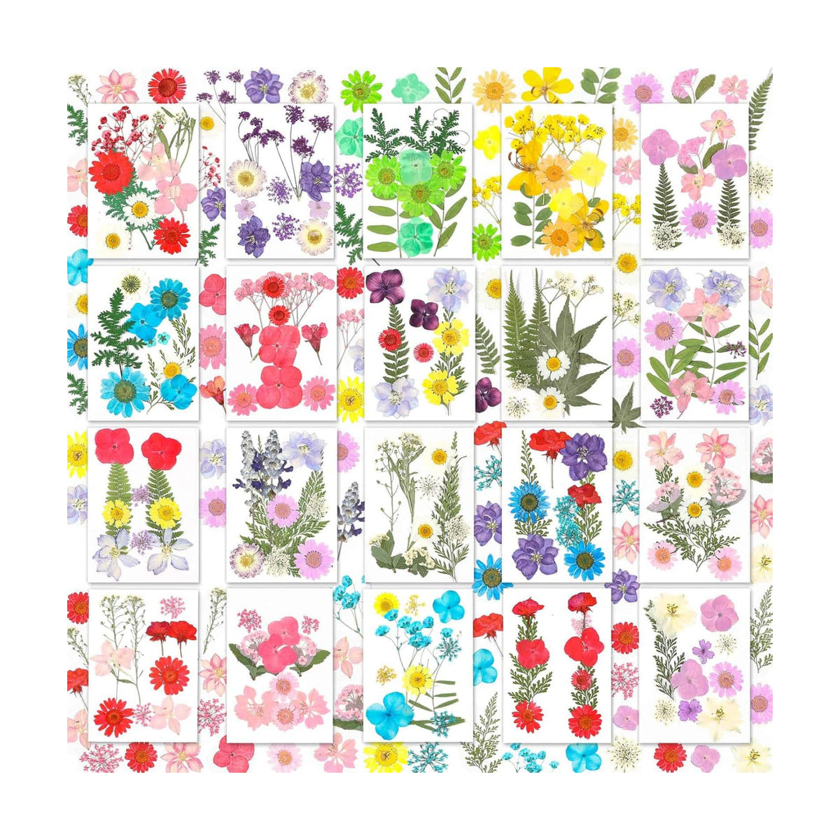 Evatage 200 Pcs Small Dried Pressed Flowers for Resin Crafts