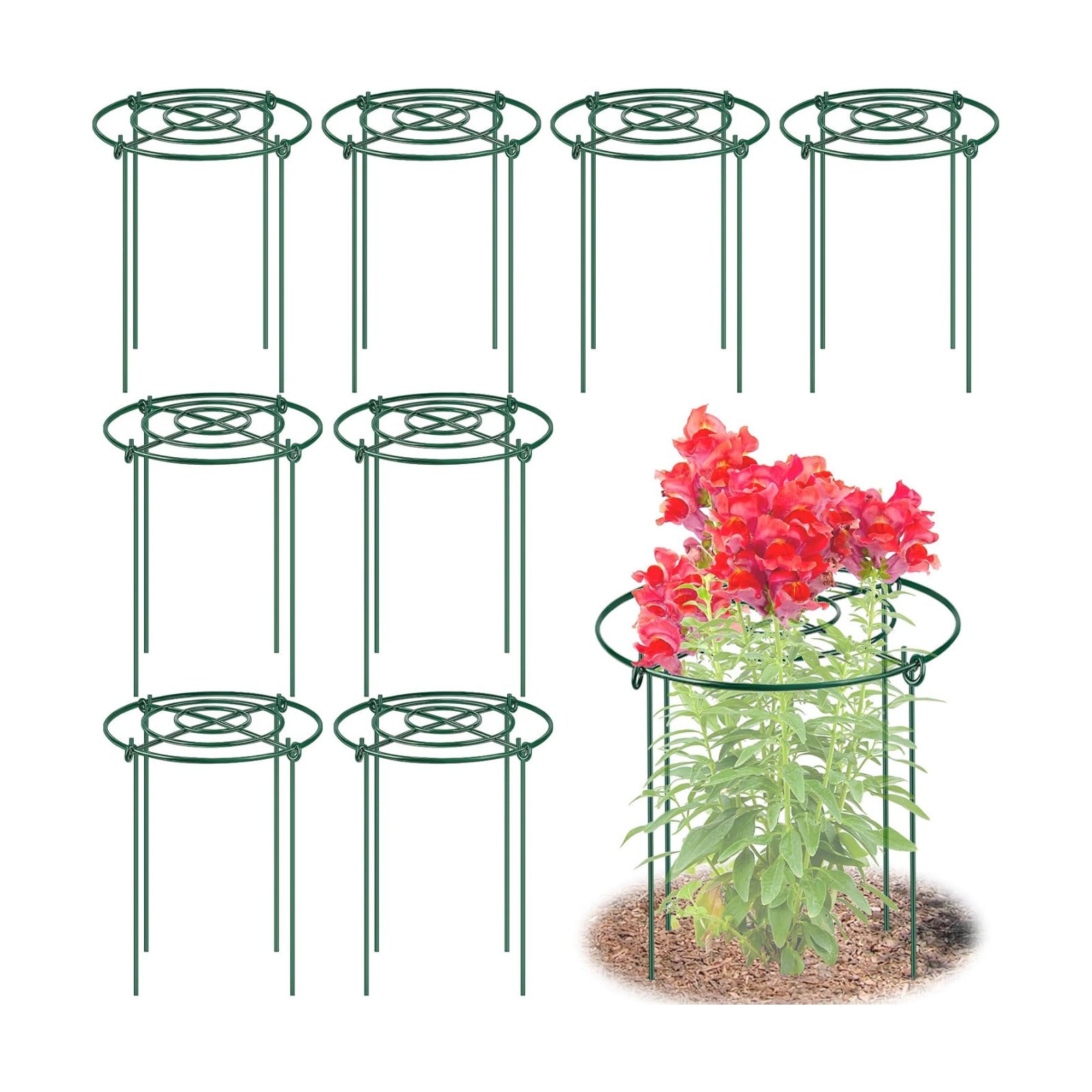 8 Pack Peony Cages and Supports, 11.5" Dx16 H Metal Plant Supports | Heavy Duty Metal Peony Support Cage Flower Support