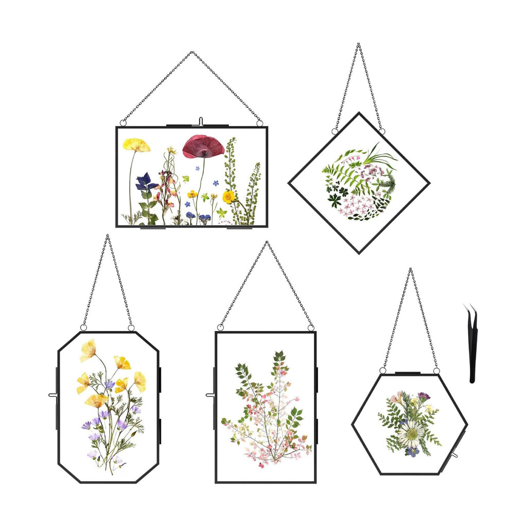 FOCHIER F 5 Pcs Pressed Flower Frames with Tweezers, Wall Hanging Tabletop Display Double Glass Frames with Metal Chain for Pressed Dried Flowers Plants, Horizontal and Vertical Picture Frame, Black