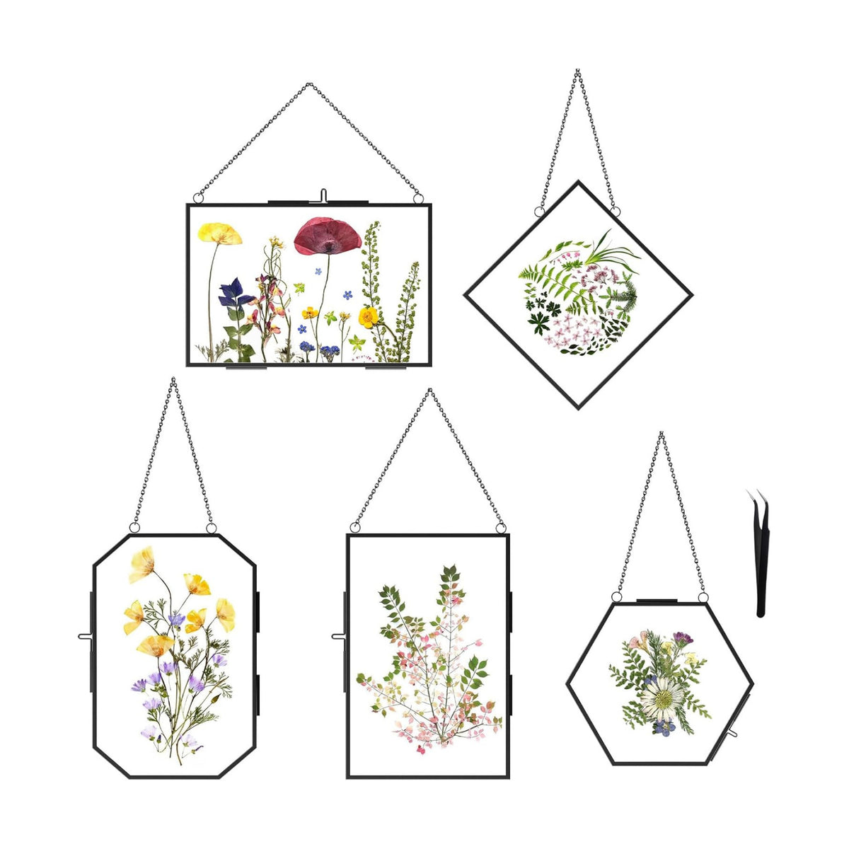 FOCHIER F 5 Pcs Pressed Flower Frames with Tweezers, Wall Hanging Tabletop Display Double Glass Frames with Metal Chain for Pressed Dried Flowers Plants, Horizontal and Vertical Picture Frame, Black