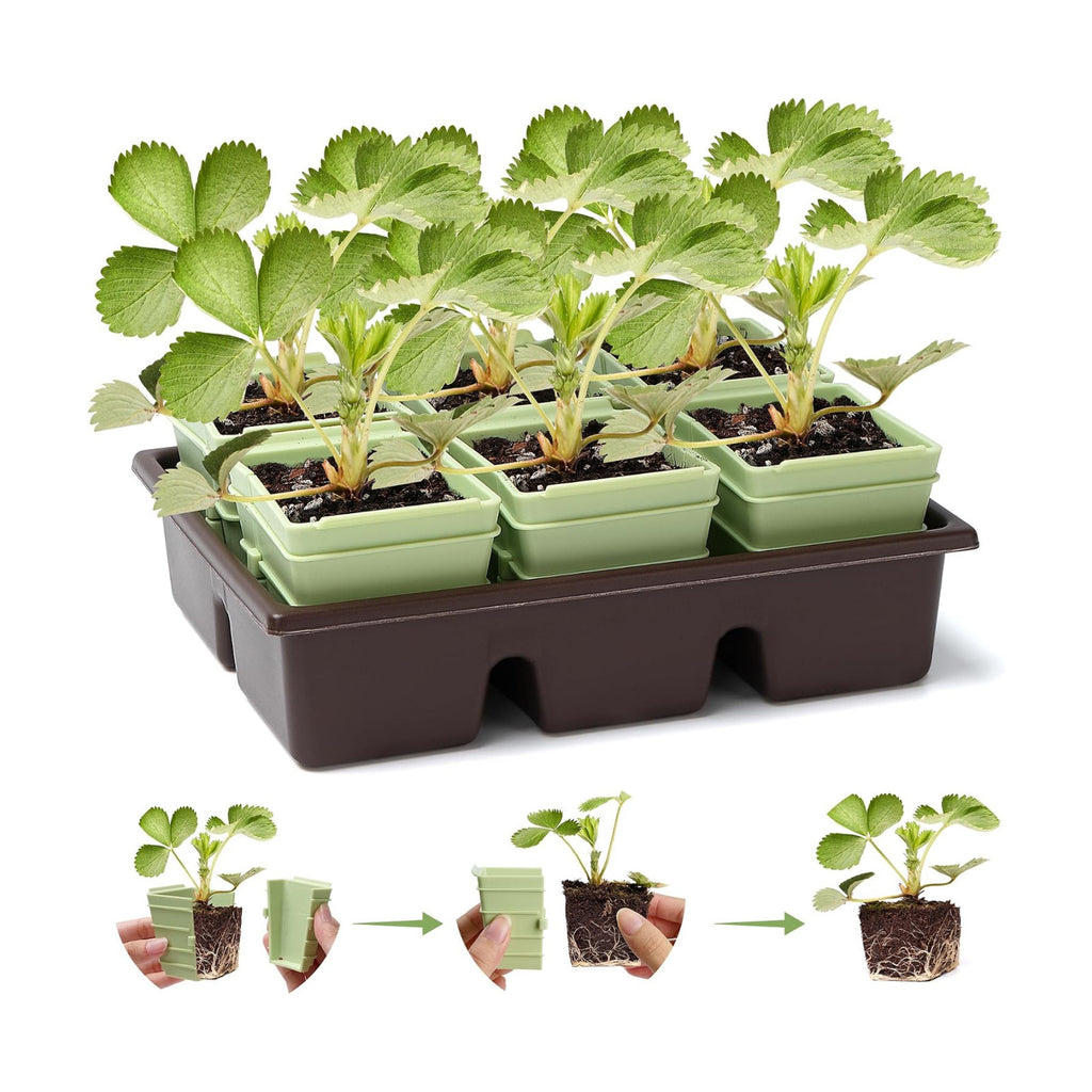 Side-Open Seed Starter Tray 4-Pack, 24 Cells Modular Design with Detachable Plant Cells, Extra-Large 2.36"x2.28" Cells