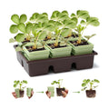 Side-Open Seed Starter Tray 4-Pack, 24 Cells Modular Design with Detachable Plant Cells, Extra-Large 2.36"x2.28" Cells