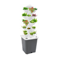 Hydroponics Growing System Kit & Vertical Indoor Garden Planter, 25-Pod Hydroponic Mechanism Indoor Plants, Herbs