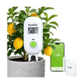 RAINPOINT Smart Digital Wireless Plant Moisture Meter Houseplants Indoor WiFi Hub Kit with Low/High Moisture