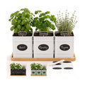 Herb Planter Indoor, 3-pc Herb Pots w/ Drainage Holes, Bamboo Tray & Labels | Iron Herb Pots, Varnished Bamboo Tray
