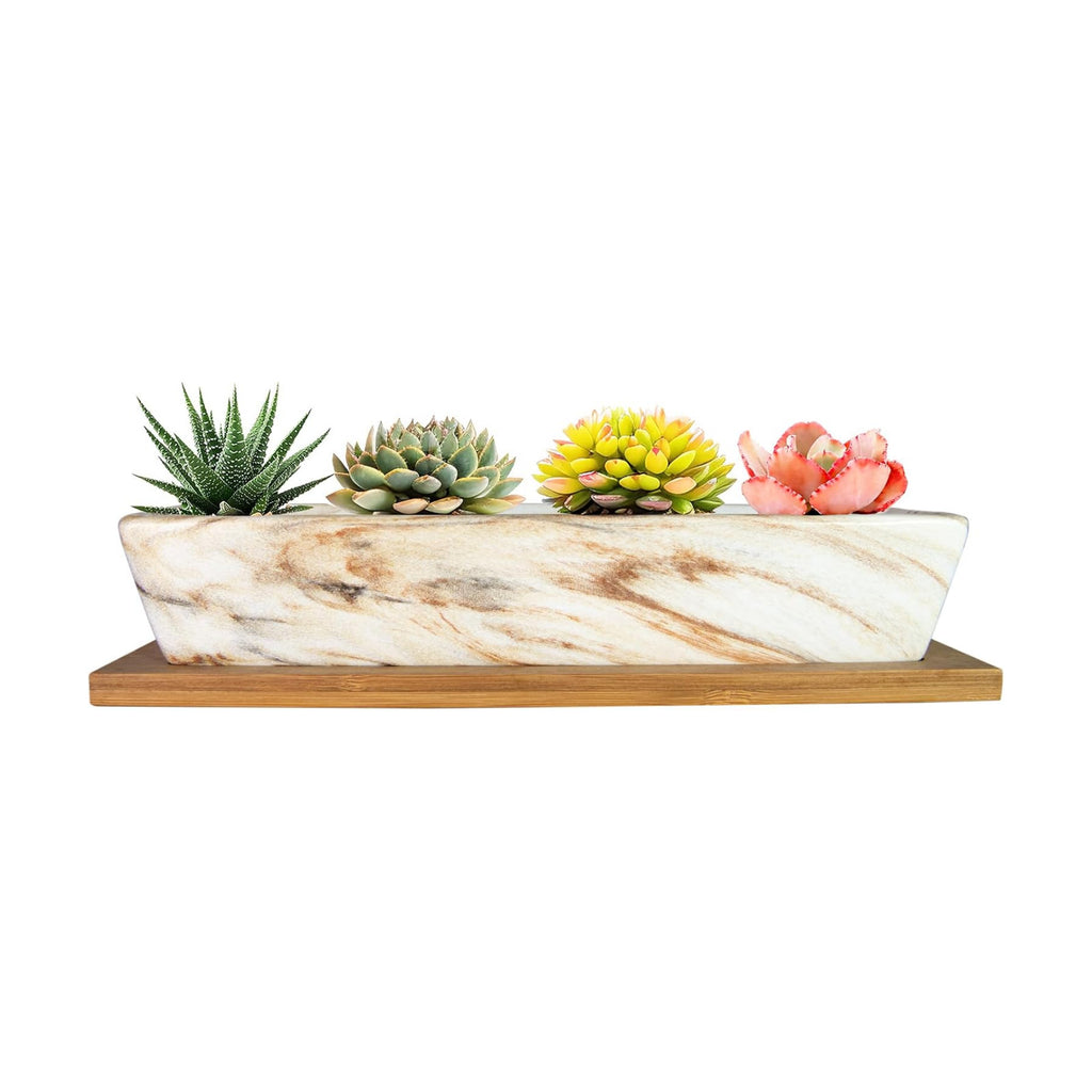 ARTKETTY Succulent Pots, 9.8 Inch Ceramic Succulent Planters with Drainage